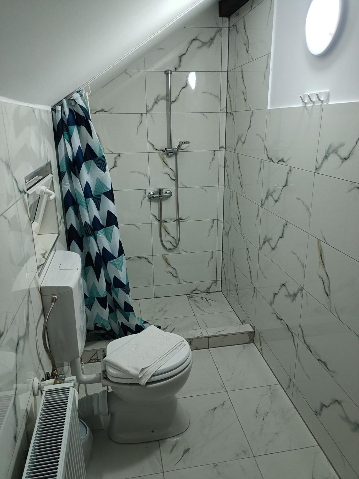Casa Valentina Hotel Vişeu de Sus Eksteriør billede