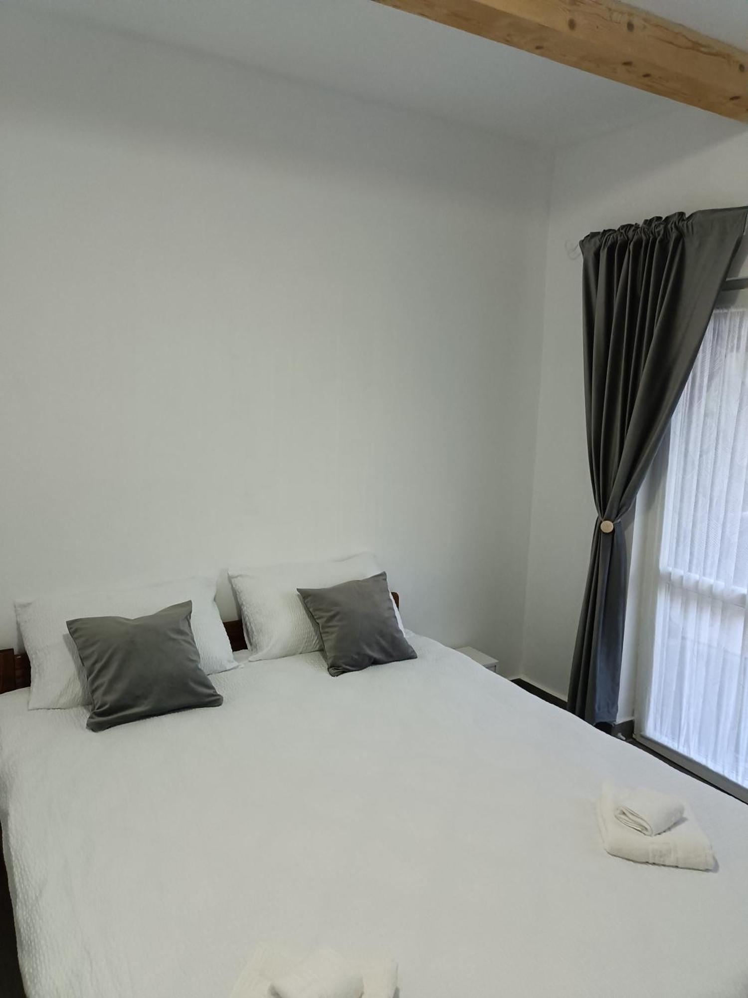 Casa Valentina Hotel Vişeu de Sus Eksteriør billede